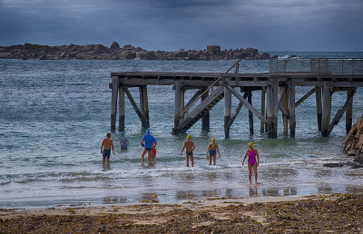 Horseshoe Bay Swimmers