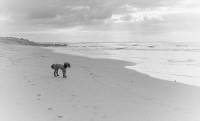 Bashams Beach