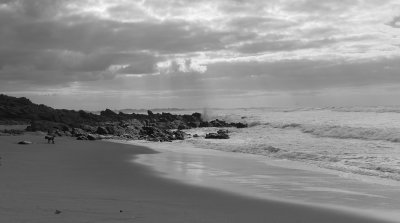 Bashams Beach