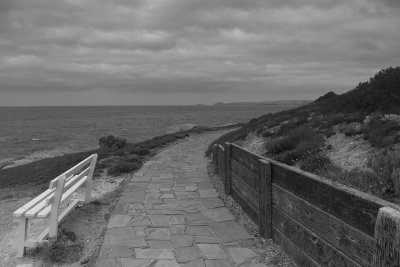 Path with a view