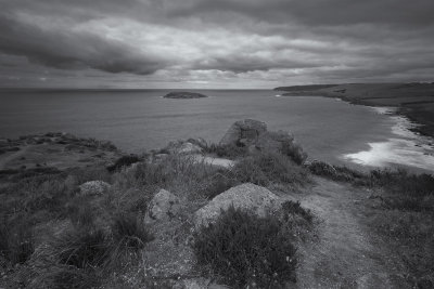 Petrel Cove