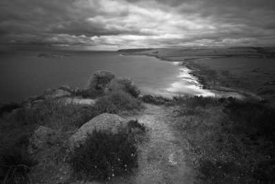 Petrel Cove