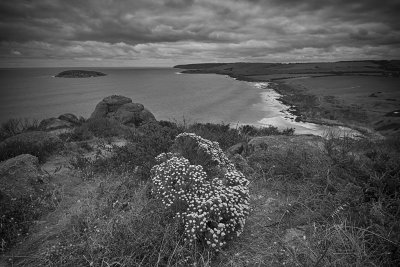 Petrel Cove