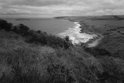 Petrel Cove