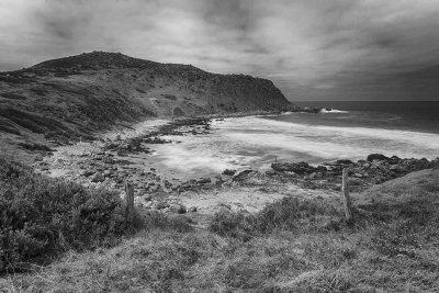 Petrel Cove
