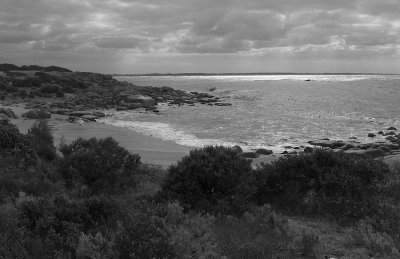 Horseshoe bay