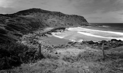 Petrel Cove