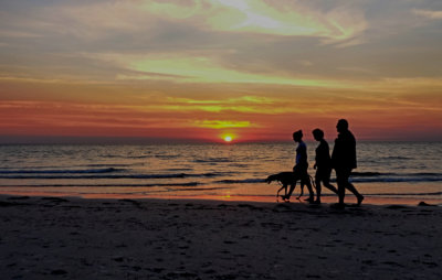 Tennyson Beach