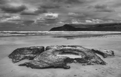 Cape Bridgewater