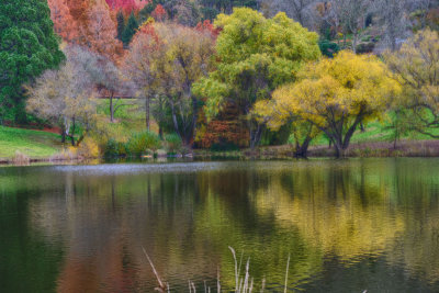 Mt Lofty Botanic Gardens