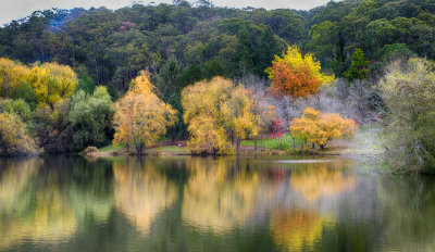 Mt Lofty Botanic Gardens