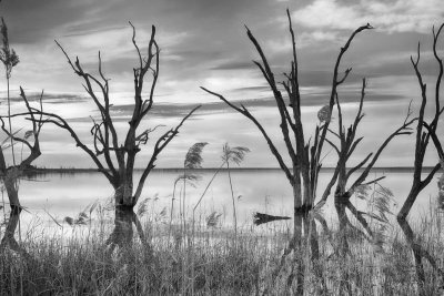 Lake Bonney