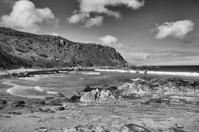 Petrel Cove
