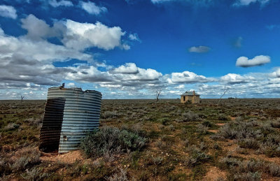 Windvale hut