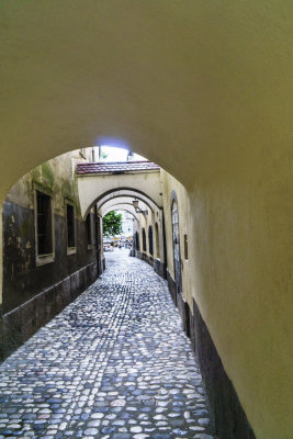 The Alleyway 