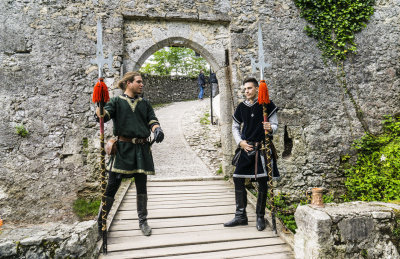 The Castle Gate Guards