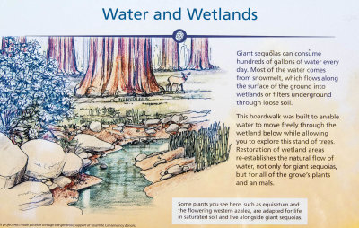 Water and Wetlands