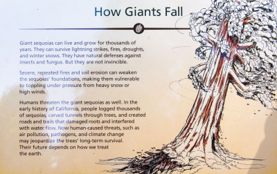 How Giants Fall