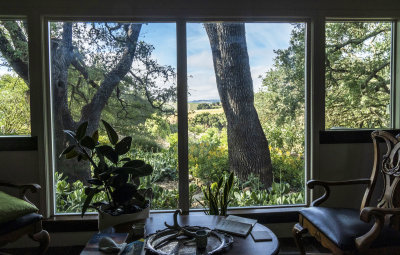 California Wine Country