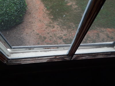 AtticWindowInsideBottomSill.jpg