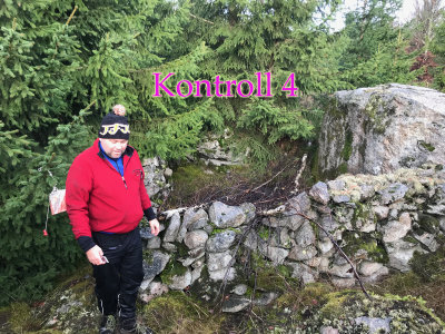 Plockepinn 2019