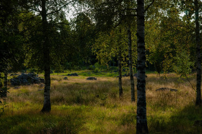 Goinge 126.jpg