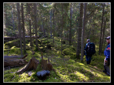 g12/44/962944/3/172004571.KscOLAS6.jpg