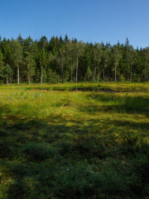 Riksg 2022 Dag 2 Ol 213.jpg