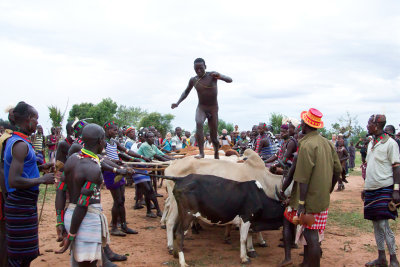 The bull jump