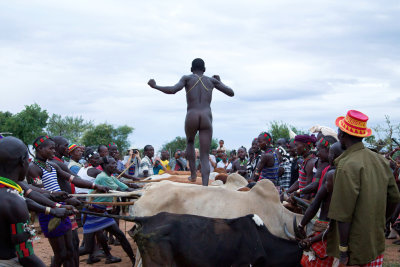 The bull jump