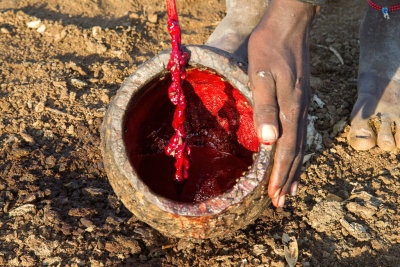 Blood and milk