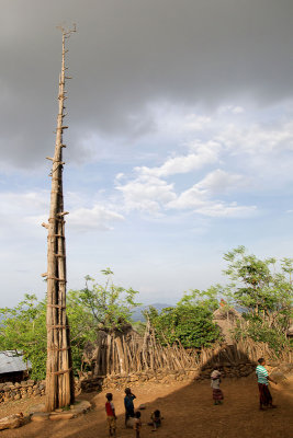 Generation pole