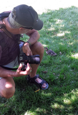 Halifiax Public Gardens - Phil with a duckling