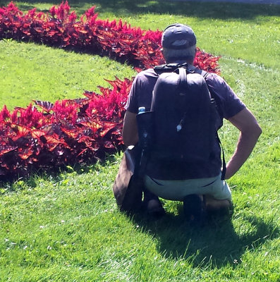 Halifiax Public Gardens - Planning a photo