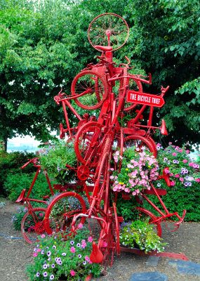 The Bicycle Thief