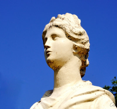 Halifiax Public Gardens - Flora, detail