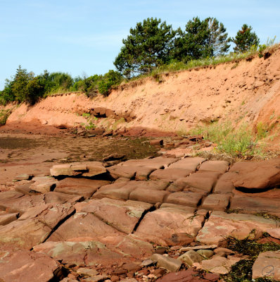 Cottage shoreline