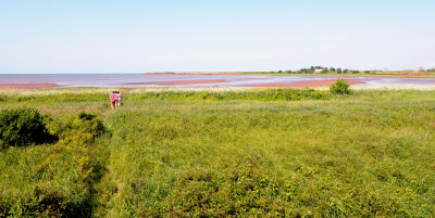 Heading to the beach at low tide