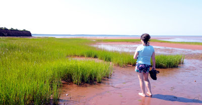 Looking at the low tide