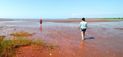Walking the beach at low tide