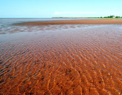 Ripples in the water