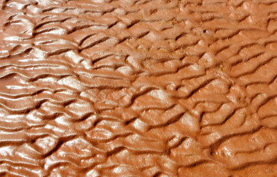 Patterns in the sand