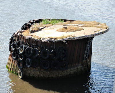 Wood Islands old dock infrastructure