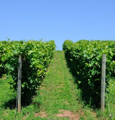 Domaine de Grand Pr winery
