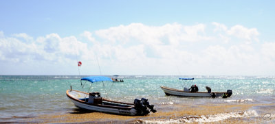 Boats at Anchor