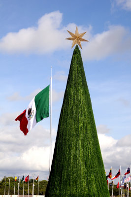 Christmas Tree with Flag