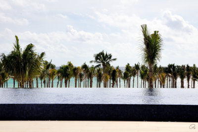 Infinity Pool with Ocean Background