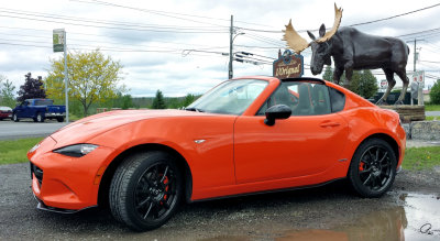 With the Moose in L'Orignal