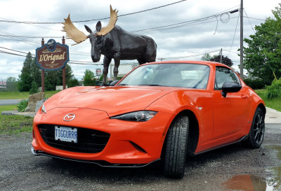 With the Moose in L'Orignal