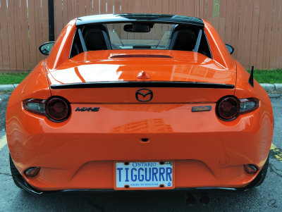Rear Black Emblems